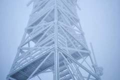 FB_IMG_1546978514225