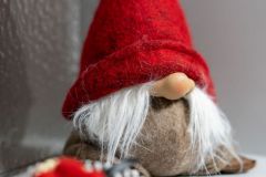 Herrenwies_027