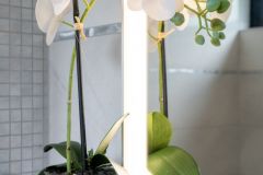 Herrenwies_055