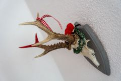 Herrenwies_058