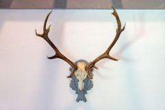 Herrenwies_075